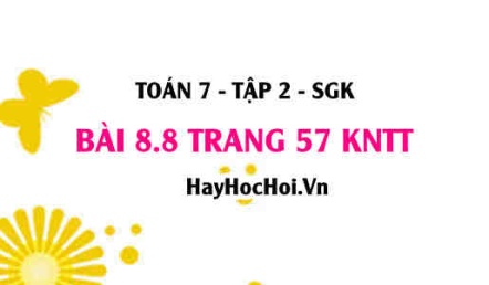 Bài 8.8 trang 57 Toán 7 Tập 2 Kết nối tri thức